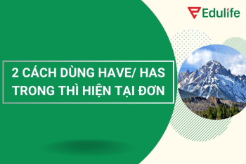 2 cách dùng have has trong thì hiện tại đơn siêu dễ