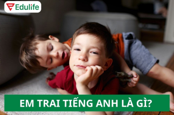 Em trai Tiếng Anh là gì? Younger Brother, Little Brother & Cách Dùng