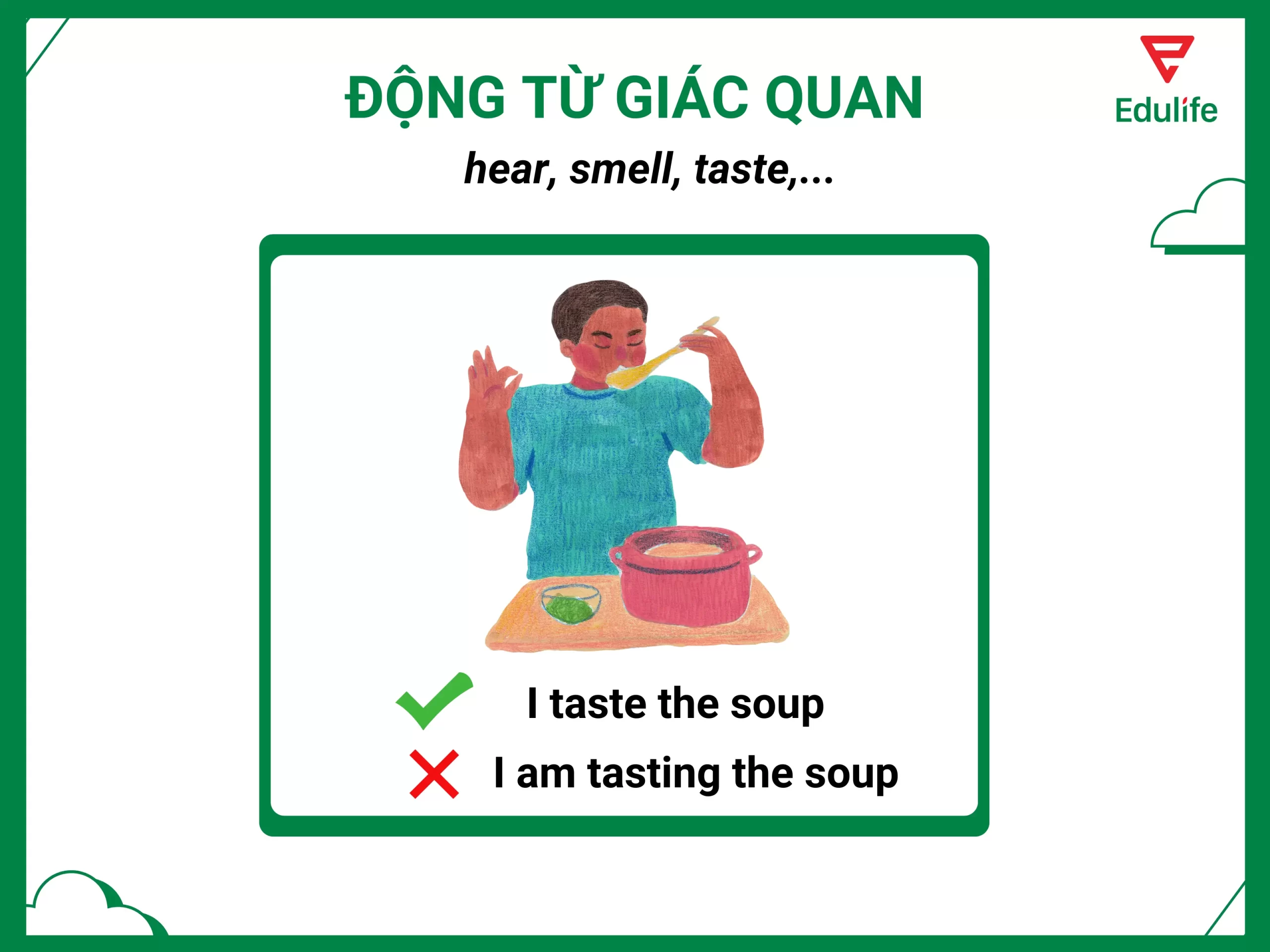 dong-tu-giac-quan