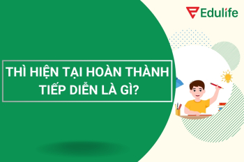 Tổng hợp kiến thức thì hiện tại hoàn thành tiếp diễn