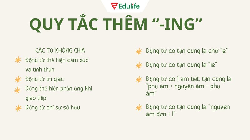 Quy tắc chia động từ V-ing và các từ không chia thì tiếp diễn