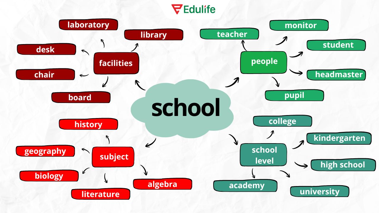 Bạn hãy học từ vựng theo chủ đề quen thuộc để xây nền tảng vững chắc