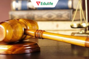 mua-ban-chung-chi-la-hanh-vi-trai-phap-luat