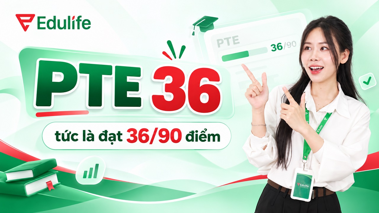 Tìm hiểu chi tiết về PTE 36