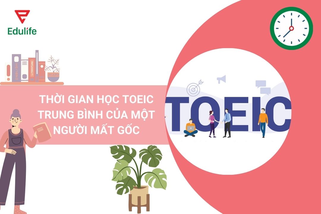 thoi-gian-hoc-toeic-trung-binh-cua-mot-nguoi-mat-goc