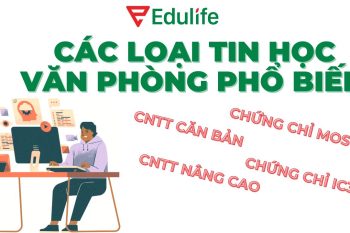 Các loại chứng chỉ tin học văn phòng phổ biến