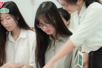 Edulife có khóa ôn luyện cấp tốc giúp bạn lấy chứng chỉ chỉ trong 4 tuần