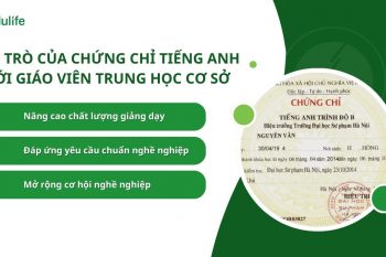 Chứng chỉ tiếng Anh mở ra nhiều cơ hội hấp dẫn cho giáo viên