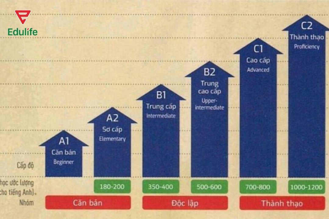 Một số chứng chỉ tiếng Anh cho Thạc sĩ tại Việt Nam