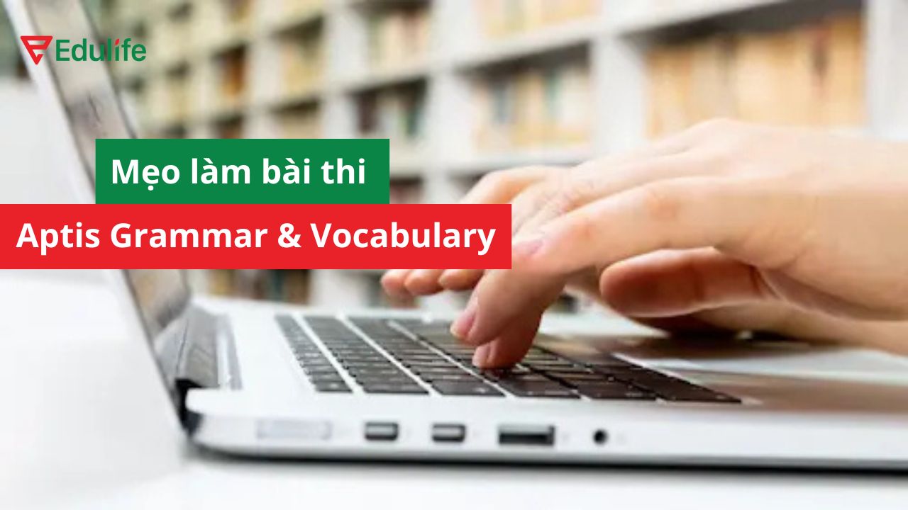 Bật mí bí kíp đạt điểm cao trong bài thi Aptis Grammar and Vocabulary