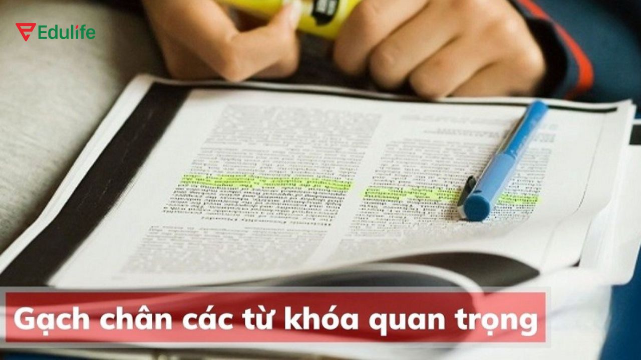 Gạch chân dưới các từ khóa chính