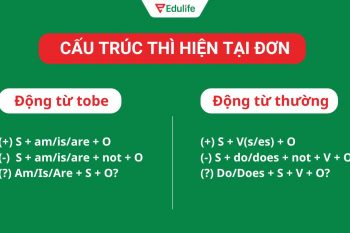 Ôn tập lý thuyết thì hiện tại đơn