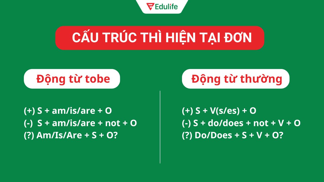 Ôn tập lý thuyết thì hiện tại đơn