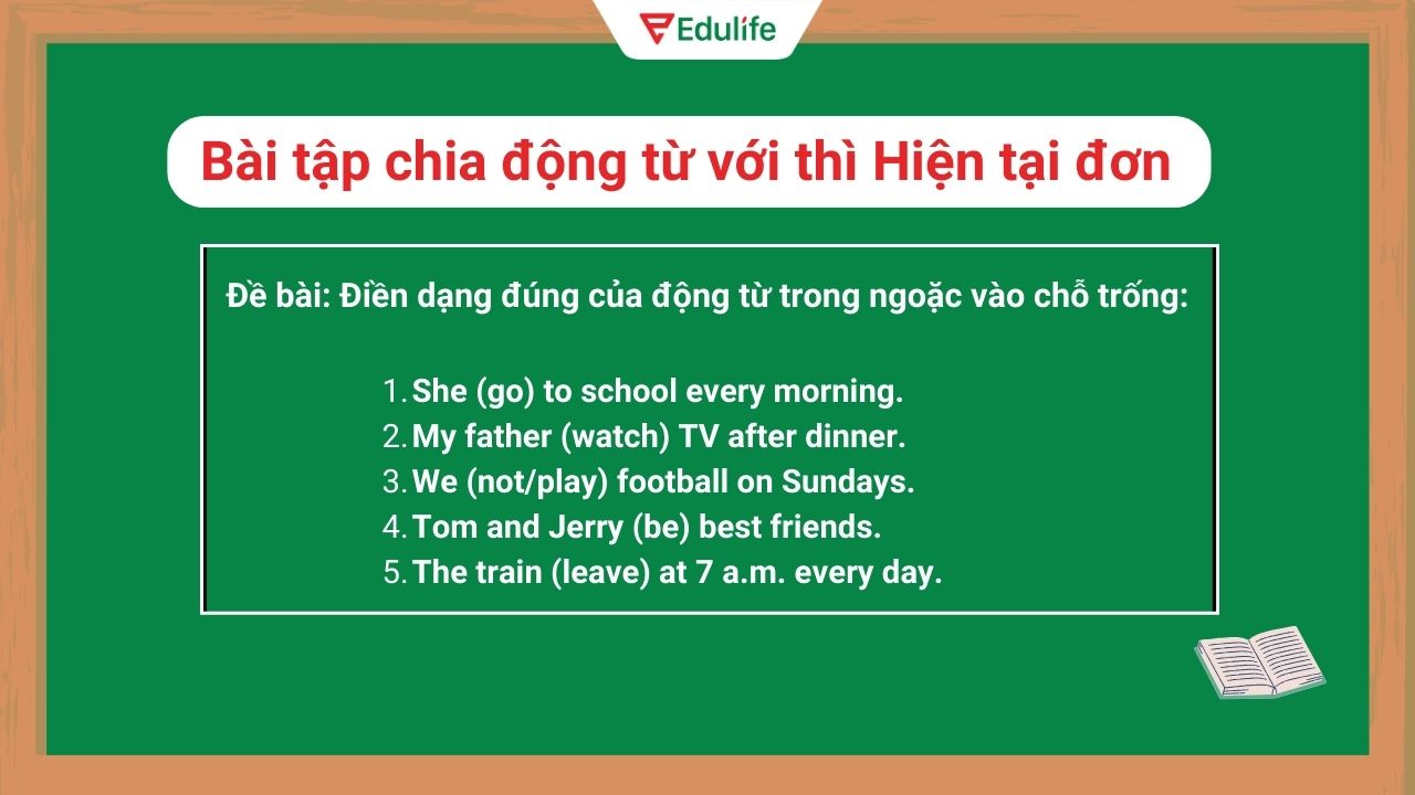 Bài tập chia động từ thì hiện tại đơn