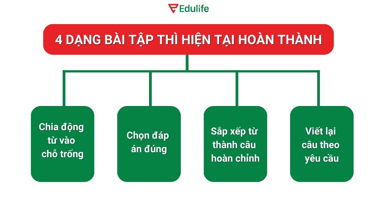 Những dạng bài tập về thì hiện tại hoàn thành thường gặp nhất