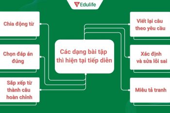 Các dạng bài tập tiếng Anh thì hiện tại tiếp diễn phổ biến