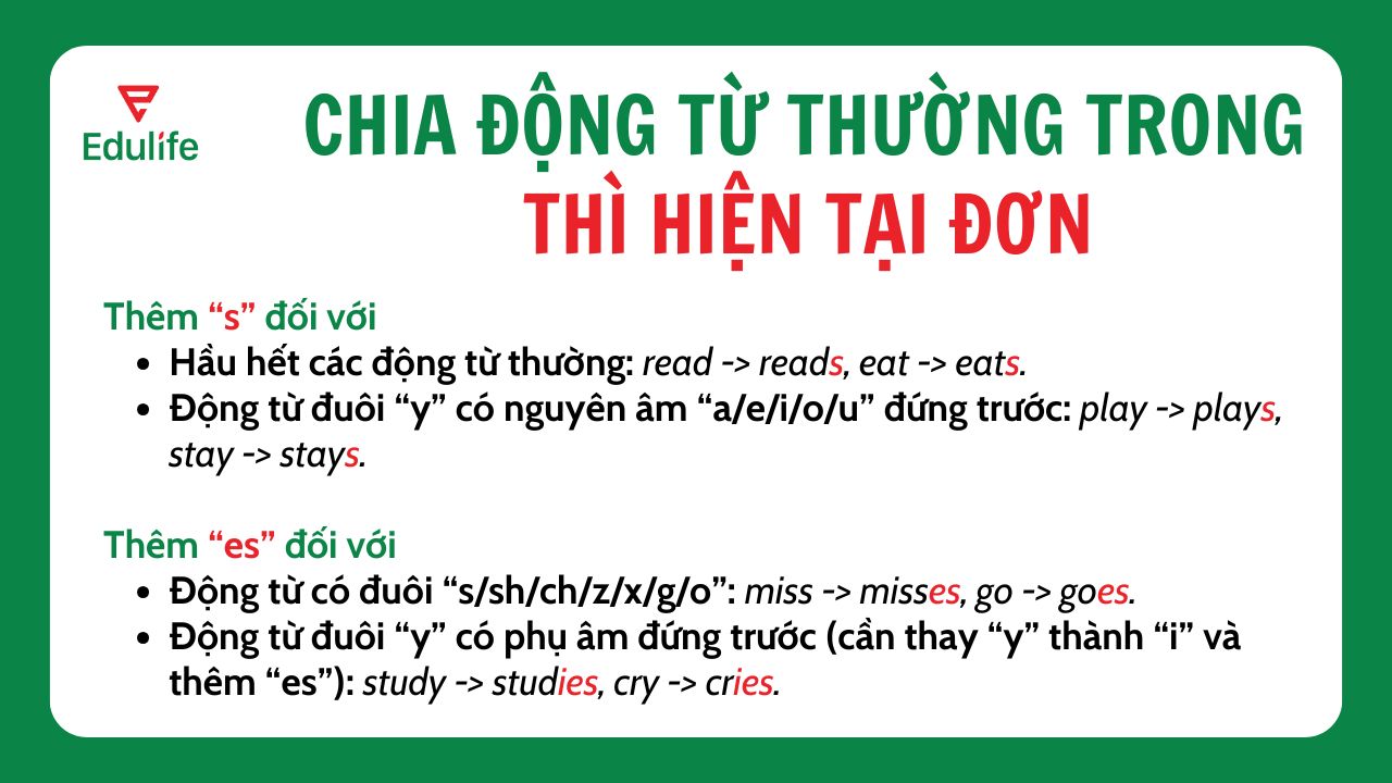 Nguyên tắc thêm đuôi “s” và “es” đối với động từ chia ở thì hiện tại đơn