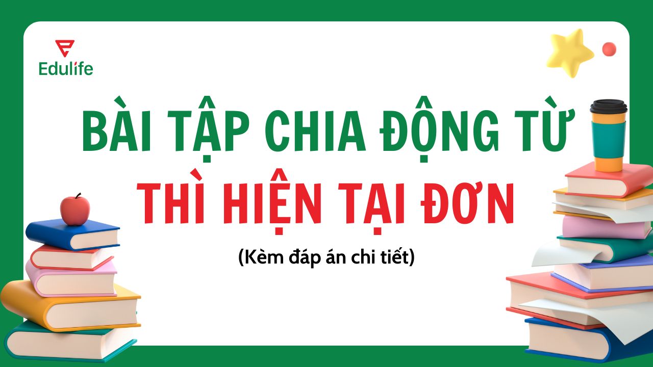 Tổng hợp bài tập chia động từ thì hiện tại đơn có đáp án