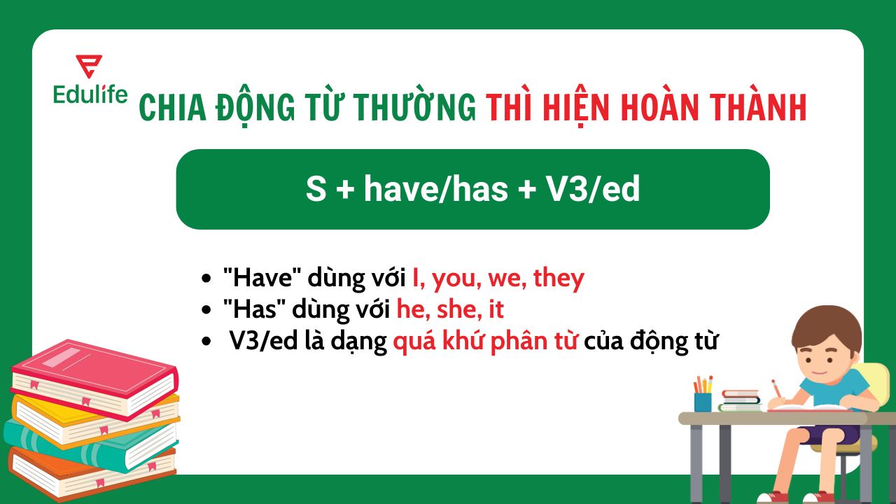 Chia động từ thường thì hiện tại hoàn thành