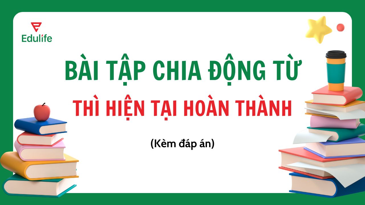 Bài tập chia động từ thì hiện tại hoàn thành có đáp án