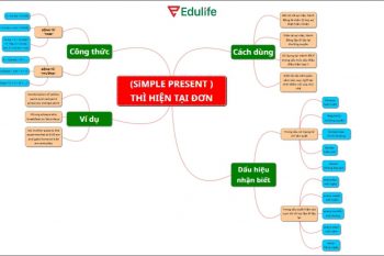 Tiến hành vẽ và viết thông tin vào từng nhánh