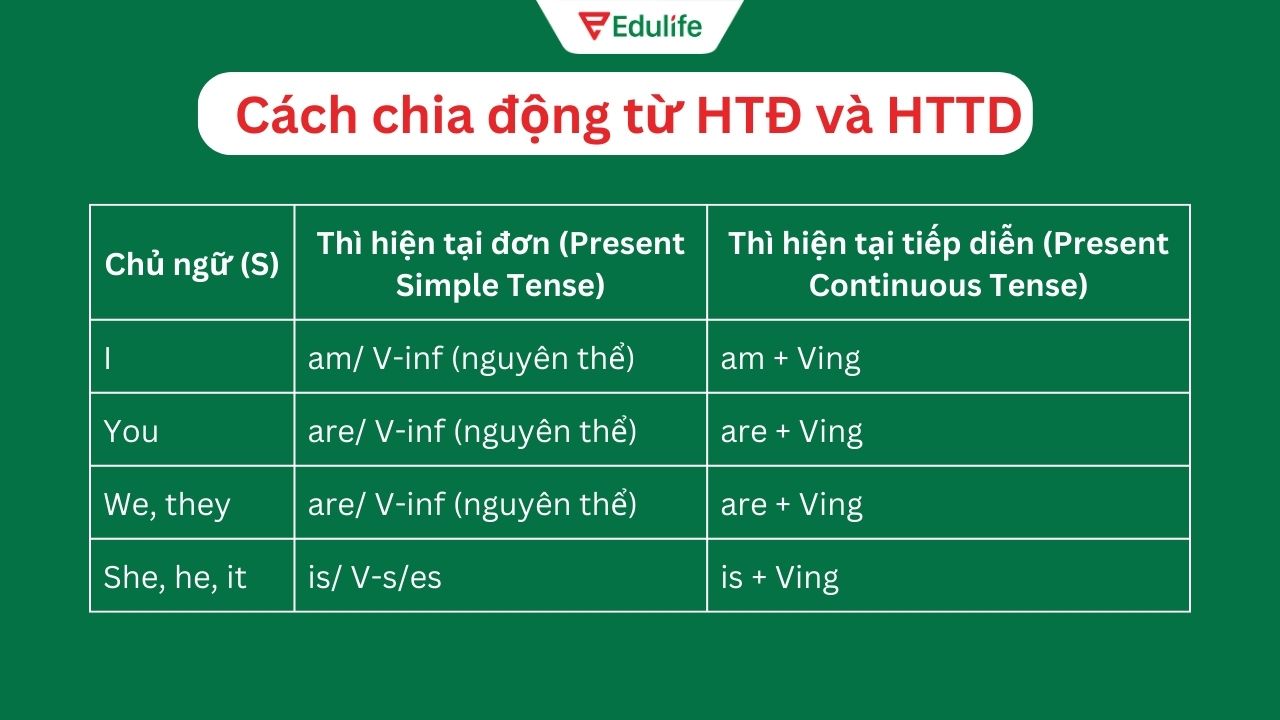 Các quy tắc chia động từ hiện tại tiếp diễn hiện tại đơn