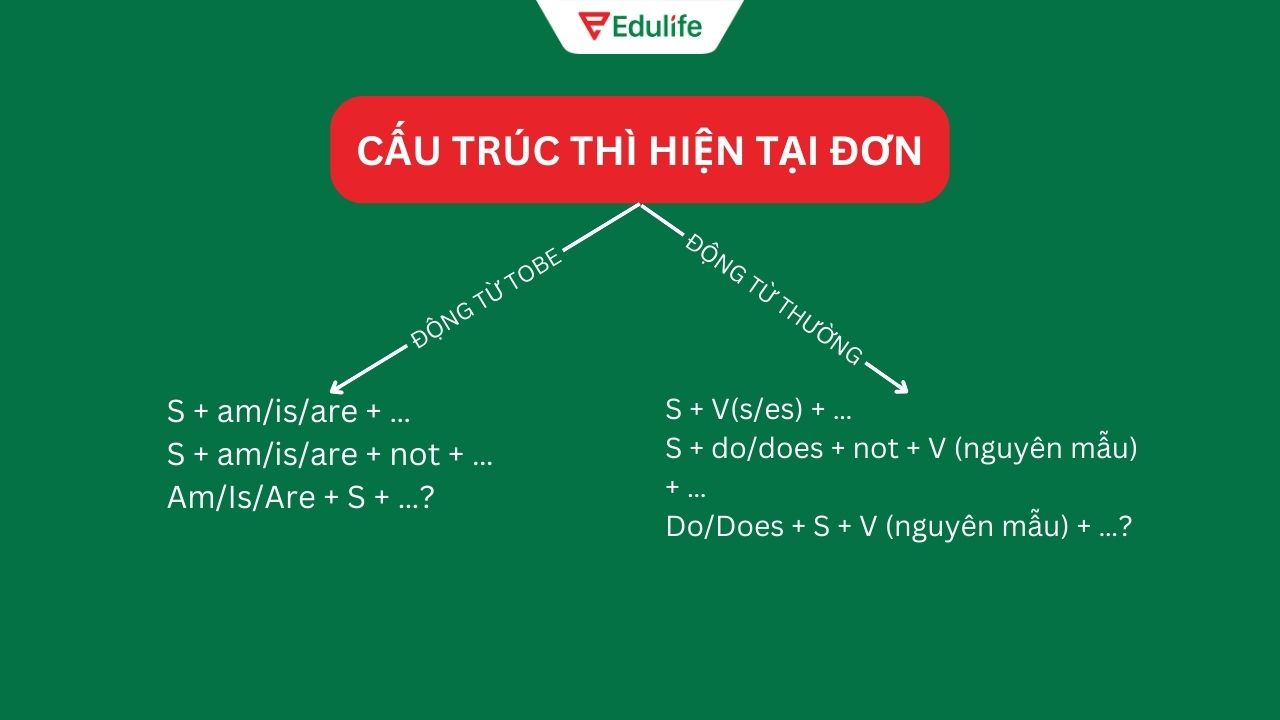 Ôn tập lý thuyết thì hiện tại đơn