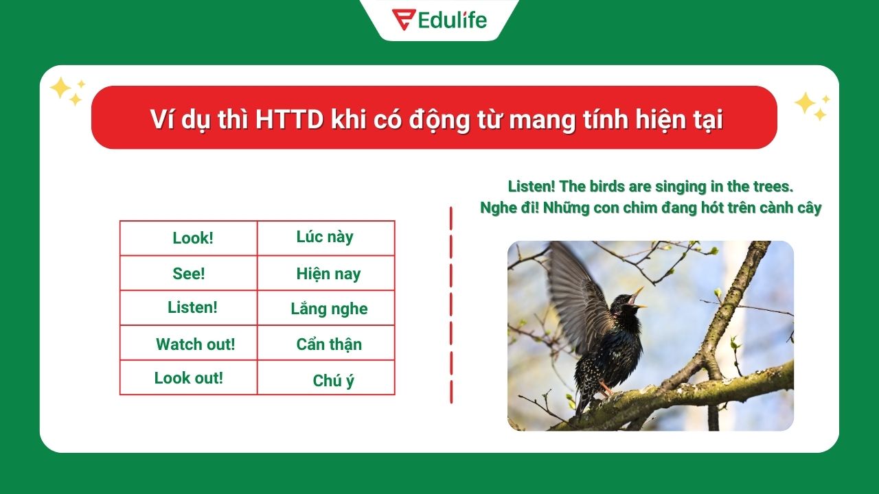 Ví dụ thì hiện tại tiếp diễn khi có động từ mang tính hiện tại ​