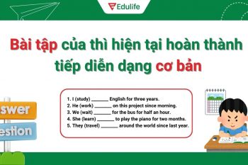 Bài tập của thì hiện tại hoàn thành tiếp diễn dạng cơ bản
