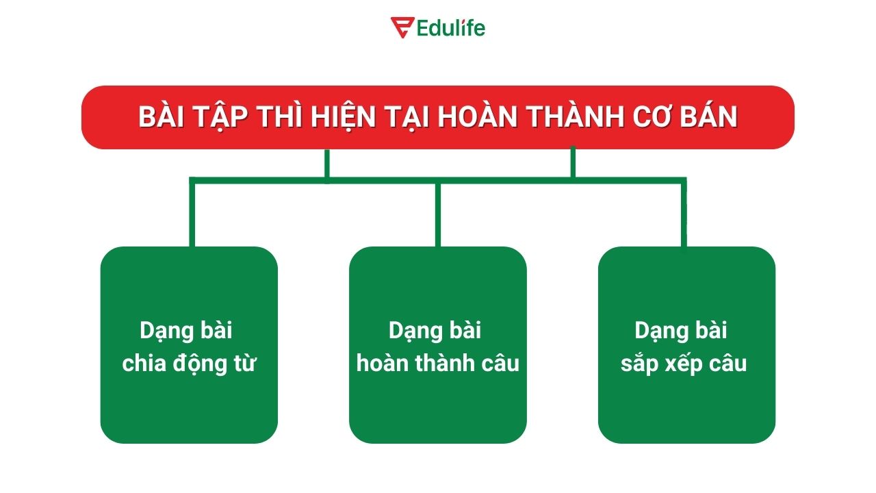 3 dạng bài tập cơ bản của thì hiện tại hoàn thành tiếp diễn