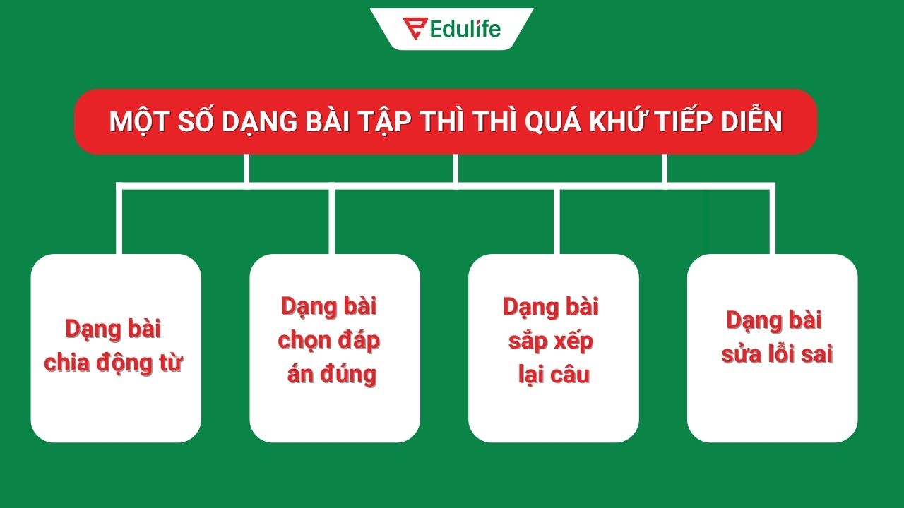 4 dạng bài tập thì quá khứ tiếp diễn ​