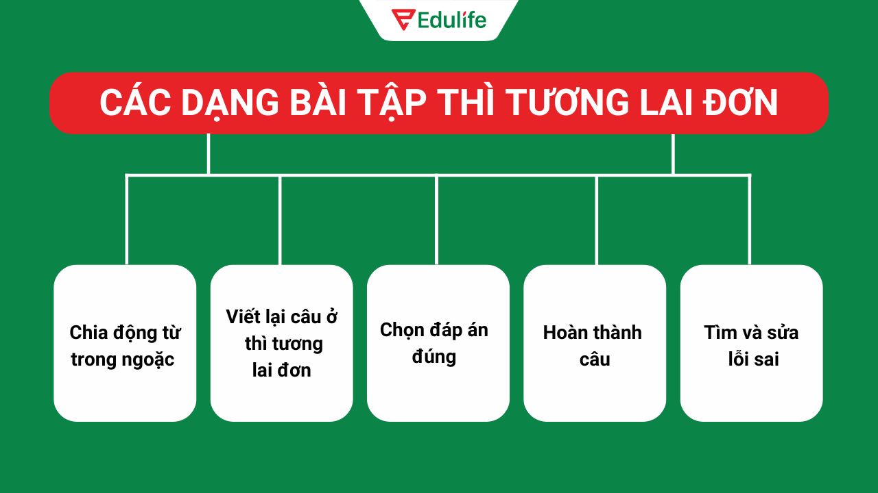 Các dạng bài tập phổ biến của thì tương lai đơn