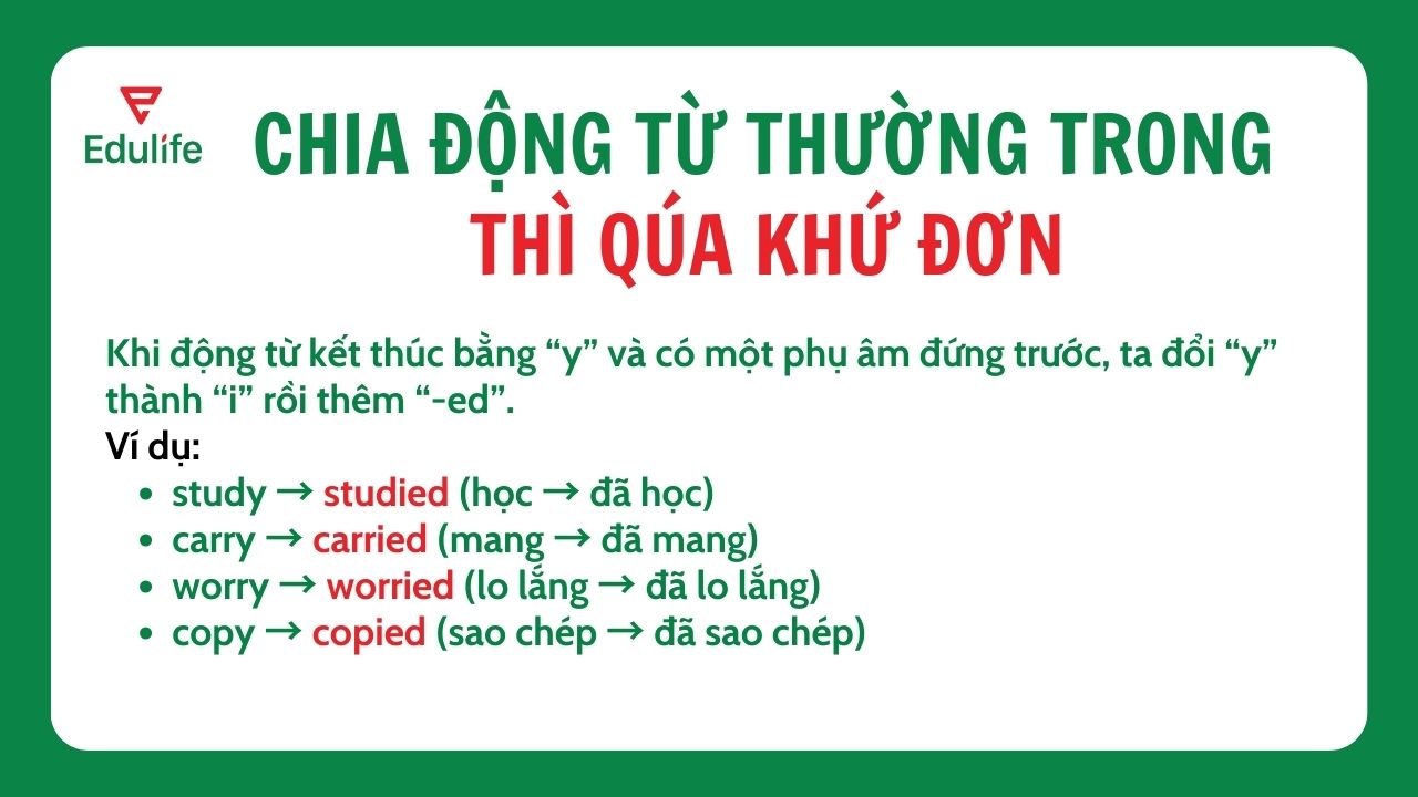 Thêm “ed” vào động từ đuôi “y” có phụ âm đứng trước​