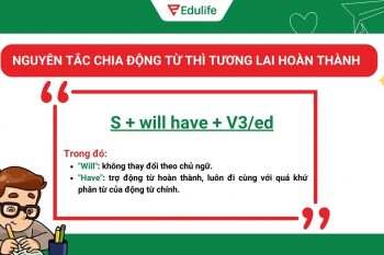 Nguyên tắc chia động từ thì tương lai hoàn thành​