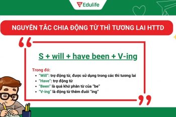 Nguyên tắc chia động từ thì tương lai hoàn thành tiếp diễn
