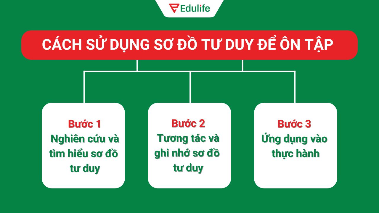 Hướng dẫn cách sử dụng sơ đồ tư duy để ôn tập