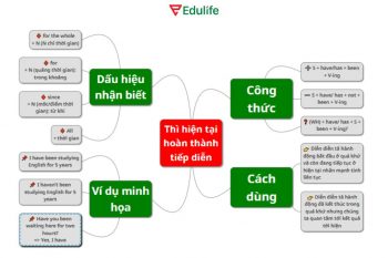 Điền đầy đủ thông tin vào từng nhánh của sơ đồ