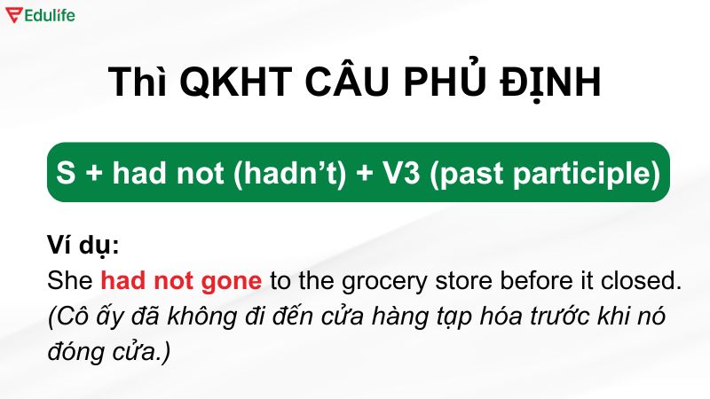 Ví dụ thì quá khứ hoàn thành dạng phủ định