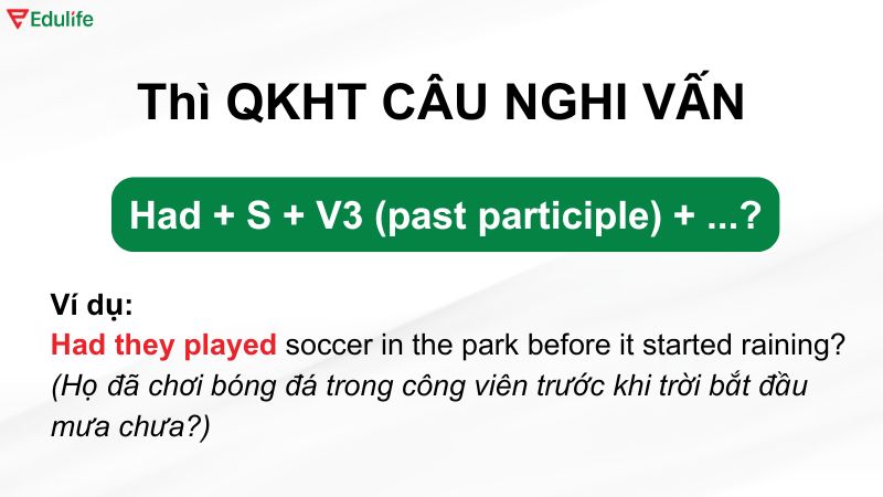 Ví dụ thì quá khứ hoàn thành dạng nghi vấn