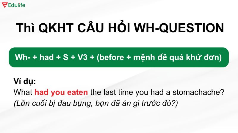 ​Ví dụ thì quá khứ hoàn thành dạng Wh-questions​