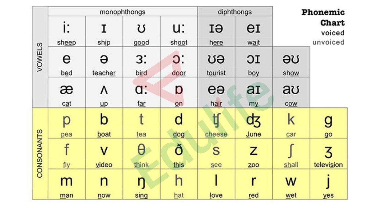 Luyện phát âm theo bảng IPA để củng cố nền tảng cho kỹ năng Nói