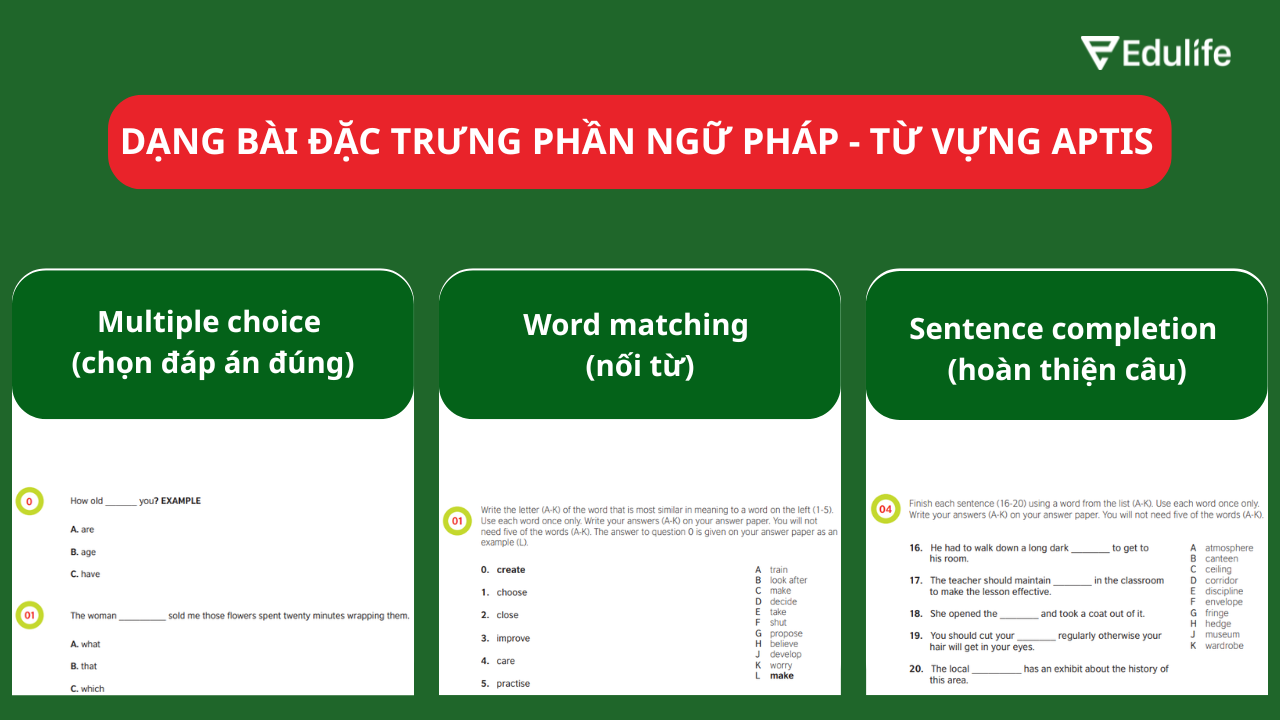 Các dạng bài đặc trưng phần Ngữ pháp - Từ vựng