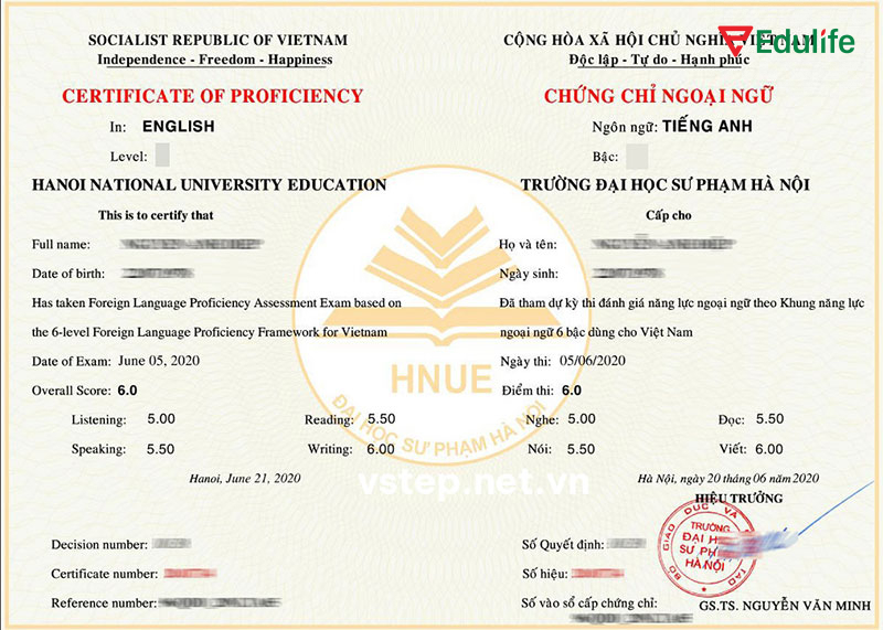 Nên chọn thi tiếng Anh B2 nội địa VSTEP khi bạn cần chứng chỉ để xét tốt nghiệp Đại học