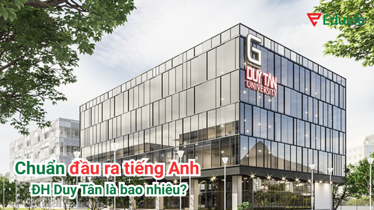 Tìm hiểu chi tiết về chuẩn đầu ra tiếng Anh của trường ĐH Duy Tân