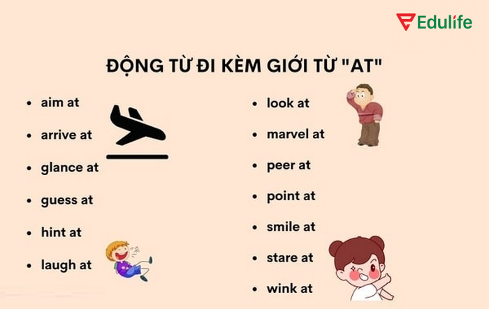 Các động từ hay đi kèm với at