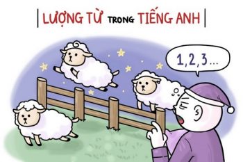 Lượng từ là gì? Định nghĩa, phân loại, cách dùng chính xác