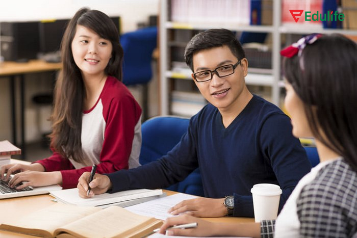 Lượng từ dùng khá linh hoạt giúp bổ nghĩa cho danh từ