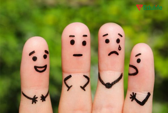 Câu cảm thán là câu diễn tả cảm xúc vui, buồn, ngạc nhiên, tức giận,...