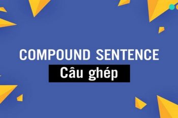câu ghép