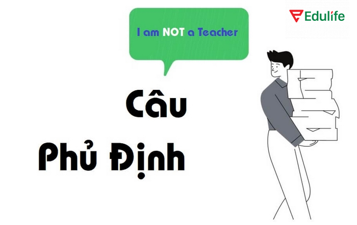 Ví dụ minh họa câu phủ định thường dùng trong tiếng Anh